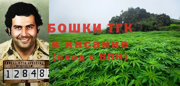 mdpv Горнозаводск