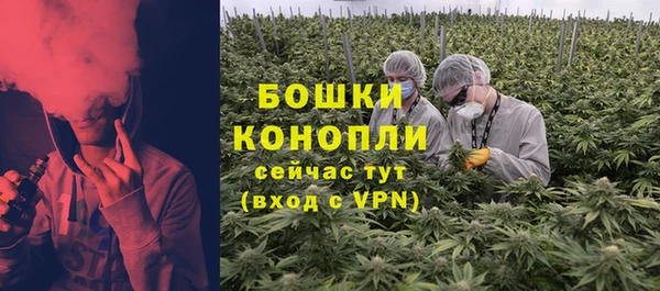 дурь Горно-Алтайск