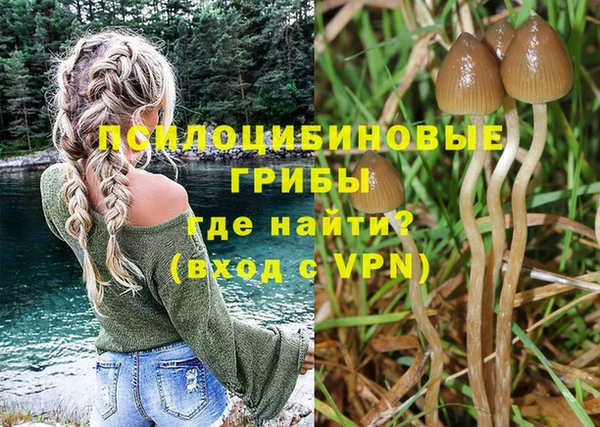 марихуана Туринск