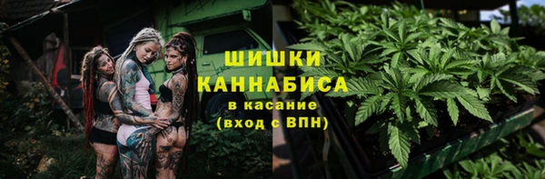 дурь Горно-Алтайск