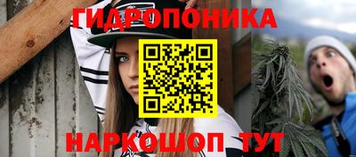 мдпв Дубна