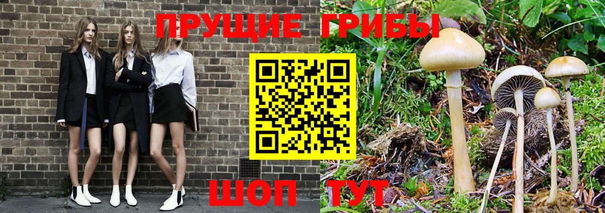 Галлюциногенные грибы Psilocybe  Псилоцибиновые грибы GOLDEN TEACHER  Рыбинск  Вход с VPN 